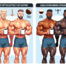Effet du café sur l'efficacité du Mélange de stéroïdes
