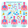 Effet de la Nandrolone sur les variations des concentrations d'hormones thyroïdiennes