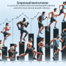 Effet de la testostérone sur l'amélioration de l'endurance anaérobie