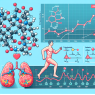 Proviron et variations des taux de triglycérides