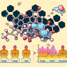 L'Enanthate de trenbolone et les changements dans les sensations olfactives et gustatives